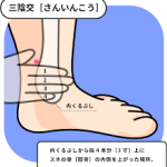 ダウンロード (4)